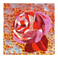 Rosa 2006 - 30cm x 30cm - Olio su tela trattata con resine e acrilico | Gianna Moise